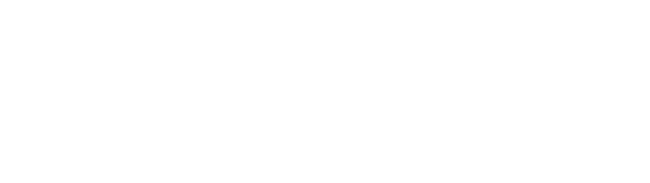 AMECS Logo